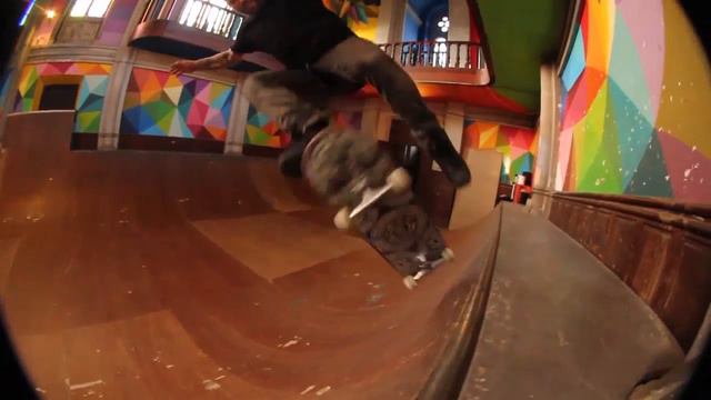 Bam Margera and friends skate Spain 2017 CKY смотреть онлайн