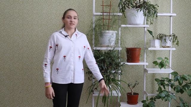 Майстер слова Синиця Єлизавета 8 клас смотреть онлайн