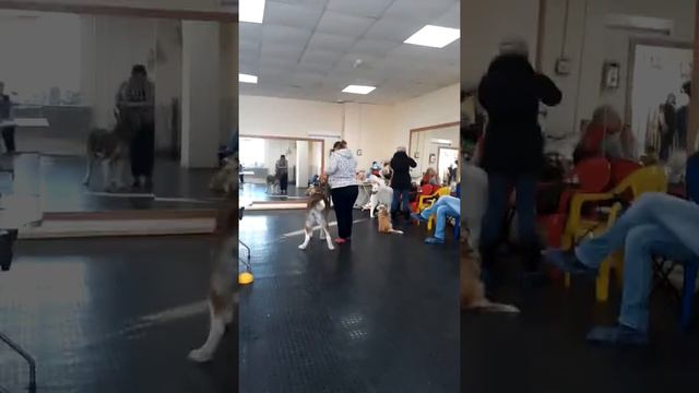 22 февраля 2018 г. смотреть онлайн