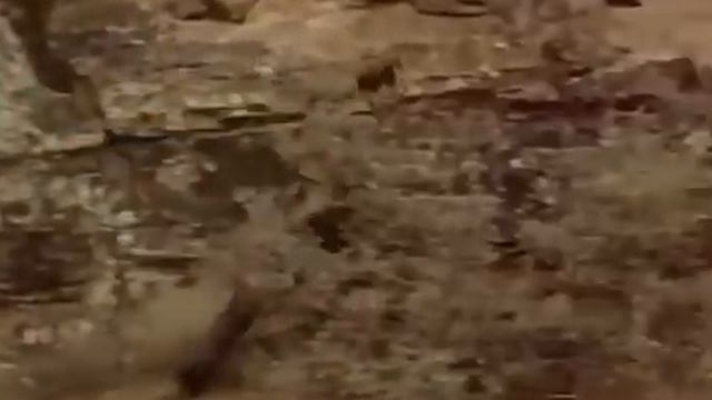 The Road To Denver - 1955 - John Payne , Mona Freeman - Director Joseph Kane - FULL WESTERN MOVIE