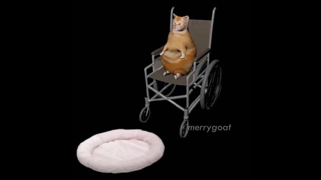 just another game cube meme смотреть онлайн