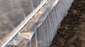 05_21Как начать свой бизнес_ Сколько будет окупаться_ А стоит ли вообще начинать_ Стр. теплицы.