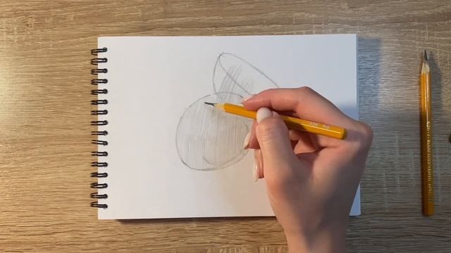 Как нарисовать линзы карандашом | Рисунок для начинающих поэтапно смотреть онлайн