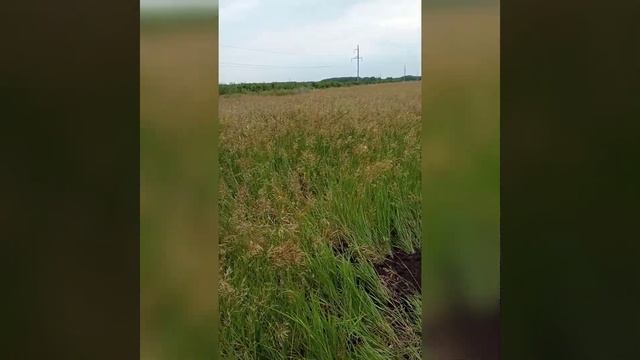 копаем колодец в д. Пушкино на 6 колец