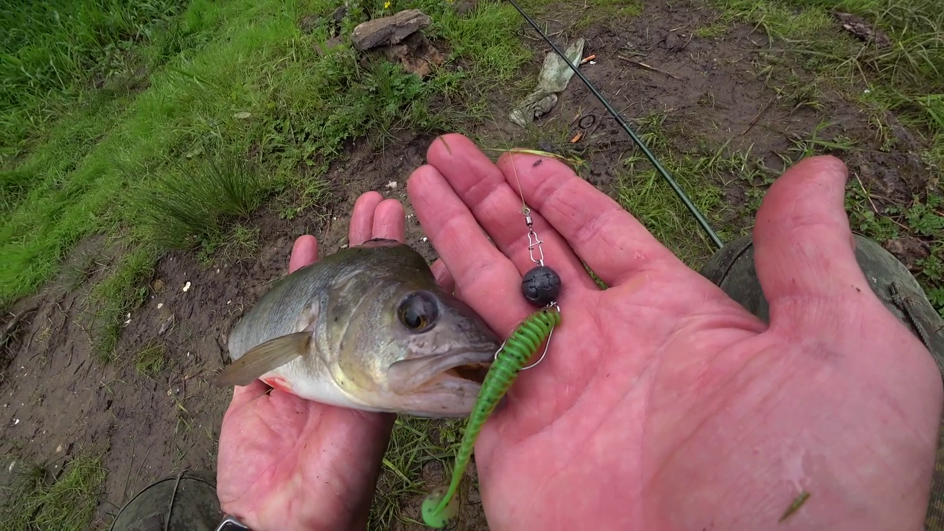 ОКУНЯРА "АП-СТРИМ" смотреть онлайн