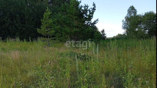 11251310 смотреть онлайн