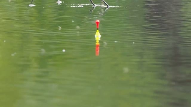 Рыбалка на УТРЕННЕЙ ЗОРЬКЕ на поплавок! ЛОВЛЯ НА МАХОВУЮ УДОЧКУ карася! Поплавок крупным планом смотреть онлайн