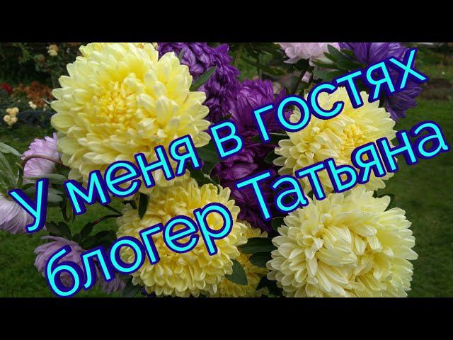 У меня в гостях блогер Татьяна с канала "В гостях у Татьяны" смотреть онлайн