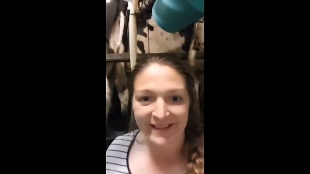 Farm Vet Vlog #2 #Farm24 смотреть онлайн