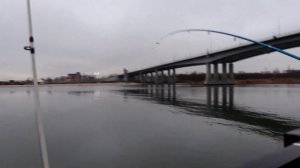 Река Дон  рыбалка