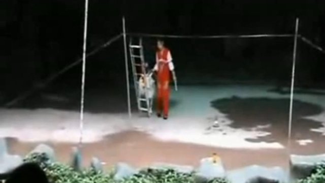 Вот это трюк!!! Невероятно!!! Смотреть до конца! смотреть онлайн
