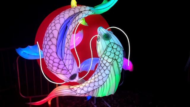 Lightopia Crystal Palace 2021 смотреть онлайн