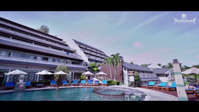 Orchidacea Resort смотреть онлайн