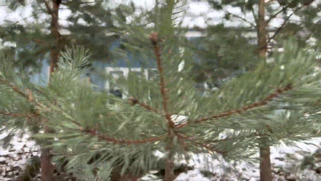 Снова зима в Рощинском хуторе. А в нашем доме тепло и уютно. Бронируйте прямо сейчас. смотреть онлайн