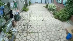 Цементирование двора при помощи форм для садовых дорожек