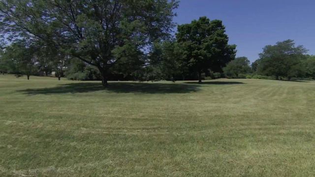 DJI FPV chase the bird...Slow and low altitude sessions flight in manual mode смотреть онлайн
