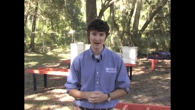 Методы борьбы с клещом варроа (Университет Флориды) смотреть онлайн