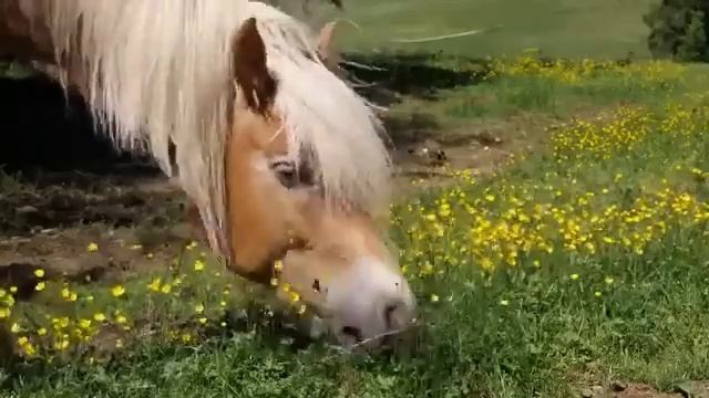 Front End Developer / React / JavaScript 2023 смотреть онлайн