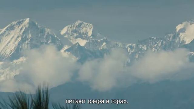 Аборигенный голос ~ ALUNA смотреть онлайн