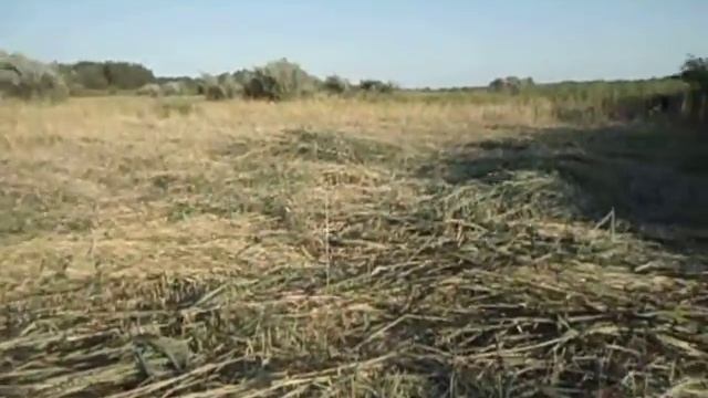 Делаем очеретные маты для крыши гошалы смотреть онлайн