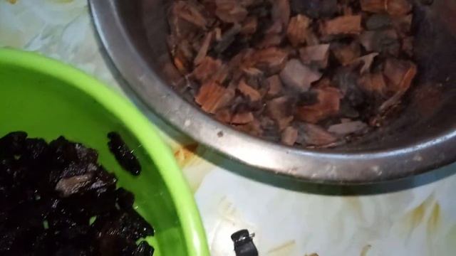 Орхидея фаленопсис сорт Veneticien Carnival ( Венецианский карнавал биг лип ). Пересадка, грунт. смотреть онлайн