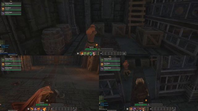 Angeschaut: Dungeons of Sundaria [3er Coop Dungeon Crawler Action] смотреть онлайн