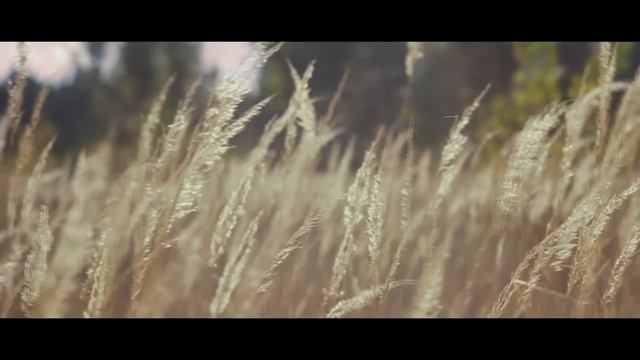 canon 60d + helios-44m-6 mc 58mm смотреть онлайн