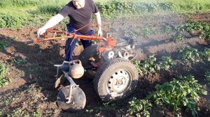 Окучиваем картофель дисковым окучником. Мотоблок Фаворит на Нивовских колесах R16