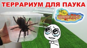 Как сделать террариум для паука птицееда. Террариум для паука своими руками. DIY.