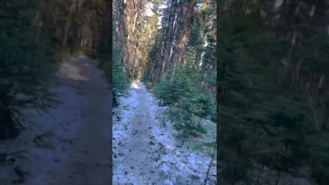 Sawmill Trail (Prince George) Pt 3 смотреть онлайн