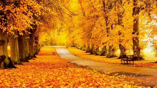 Так незаметно наступила осень... смотреть онлайн