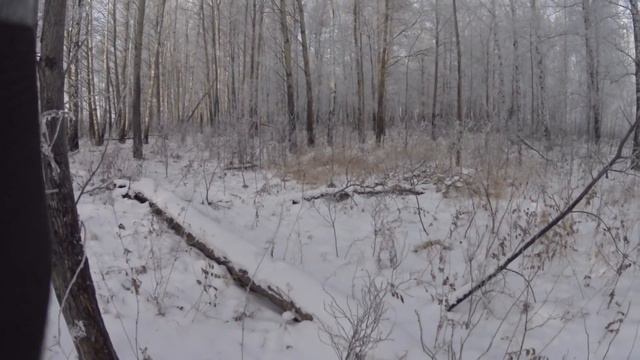 охота на зайца с гончими смотреть онлайн