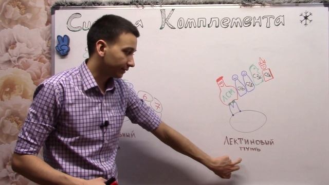 Система комплемента - Часть 2 смотреть онлайн