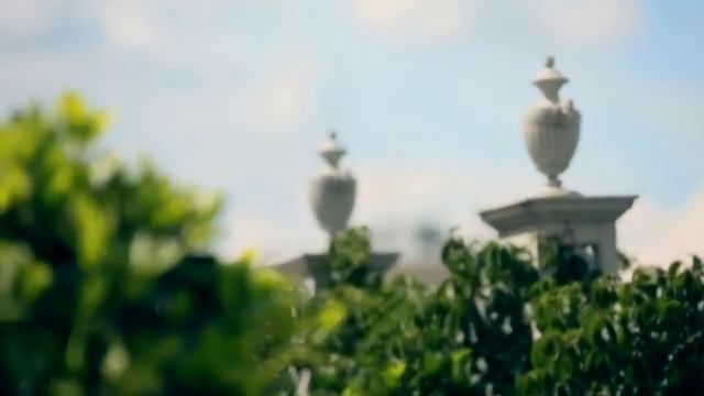 Видеограф 003-04 Свадебный клип +7 (916) 233 25 81 смотреть онлайн