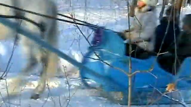 Славянская топонимика рек России смотреть онлайн