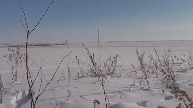 Красивый стих про степь. Очень сильное видео. Природа красива по-своему. смотреть онлайн