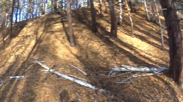 Тренировка беловодье GR8 2T смотреть онлайн