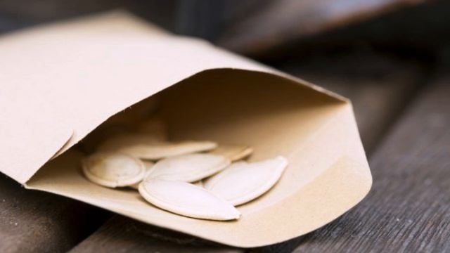 Как правильно собрать и сохранить семена тыквы? смотреть онлайн