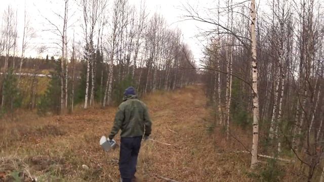 ОБЗОР Часть вторая Ямал Поселок Пурпе Сбор ягод Брусника Клюква Черника Губкинский Ноябрьск 2020. смотреть онлайн