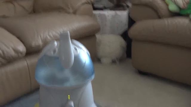 best air humidifier singapore смотреть онлайн