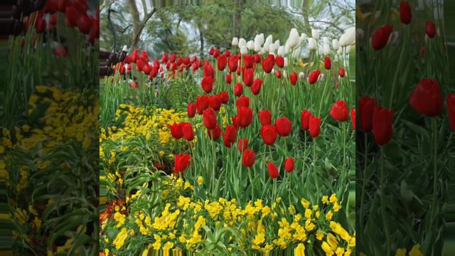 Андрей Антоненко new смотреть онлайн