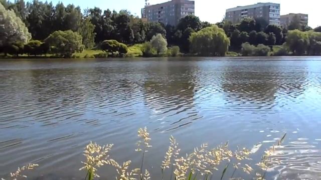 вдх Лошица Минск, супер-мастер-класс, на карася на перловку в сухарях 09.06.14 9:45 №6 см.