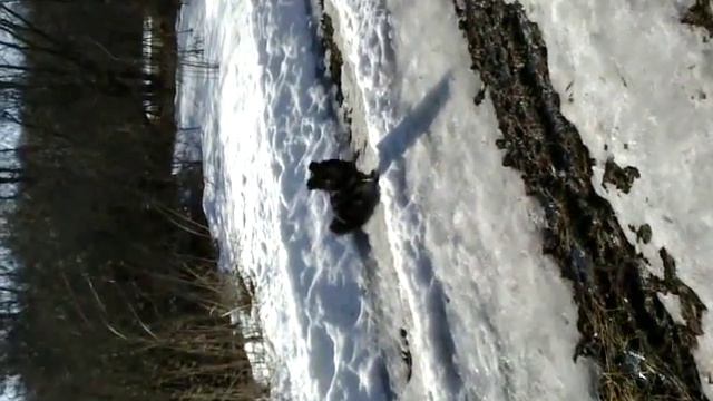 Весенний бурный поток\Stormy spring stream. смотреть онлайн