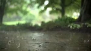 Мухаммад абу Усама:» Нововедения»
