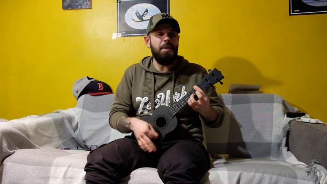 The Subways - Rock'n'Roll Queen (ukulele cover by Alex UnnameD) смотреть онлайн