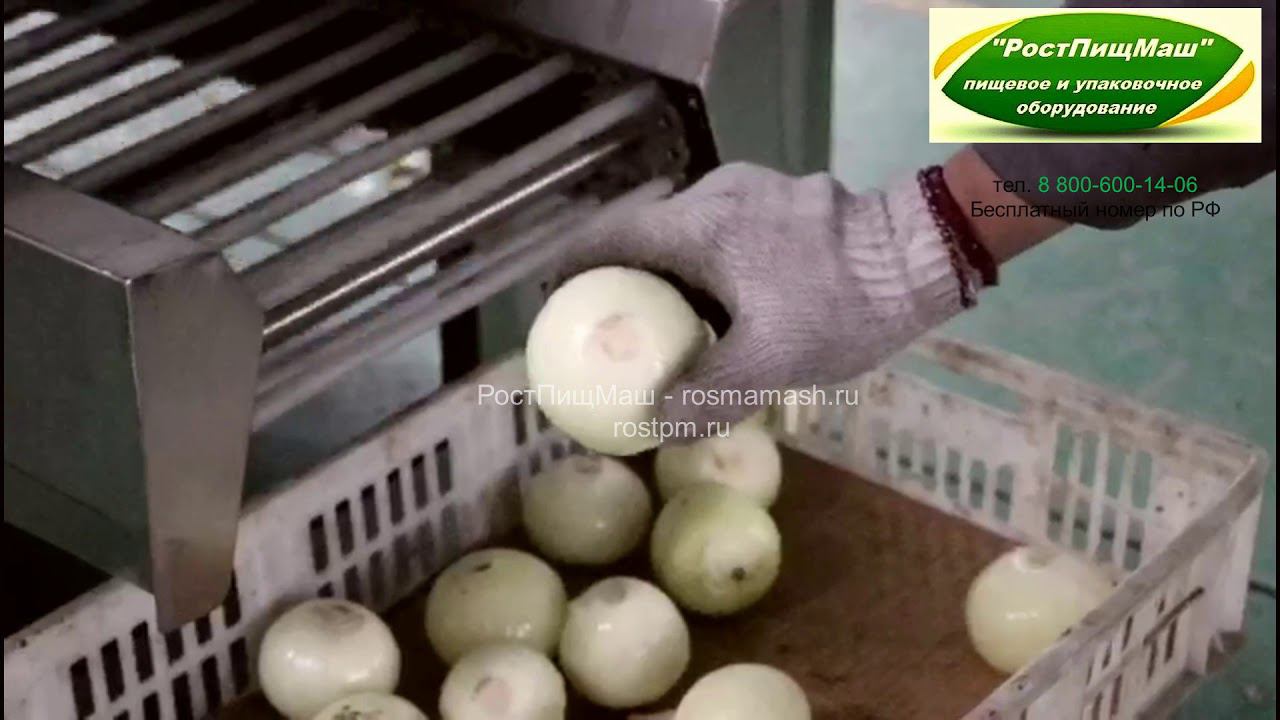 Линия очистки лука от РостПищМаш смотреть онлайн