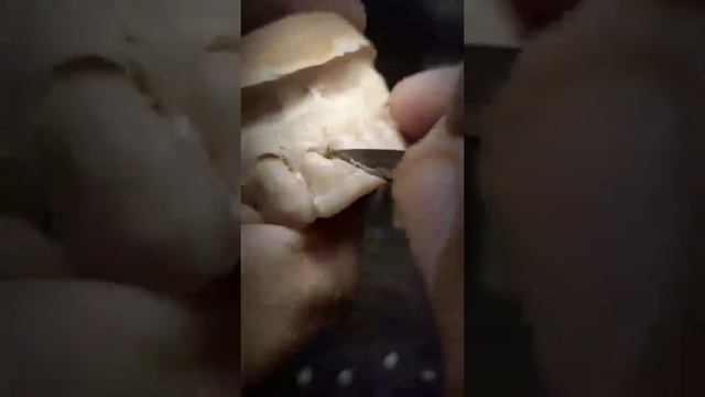 Ссылки на каналы для зубных техников и стоматологов в описании #зубнойтехник#exocad #cadcam смотреть онлайн