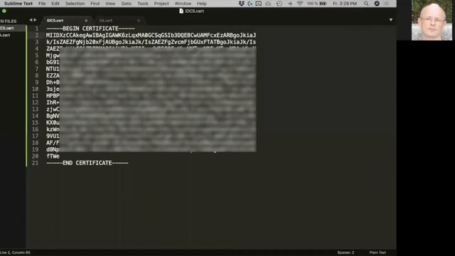 Using OAuth with Oracle SaaS REST APIs смотреть онлайн