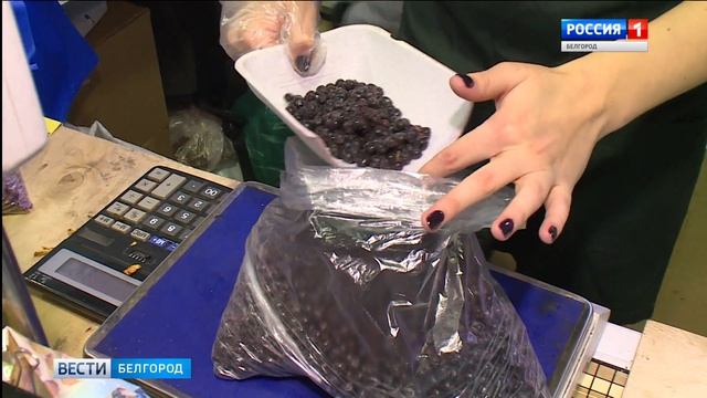 ГТРК Белгород - Кладезь витаминов в Белэкспоцентре смотреть онлайн