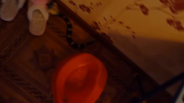 Змея на пульте управления. Классная игрушка для взрослых и детей/AliExpress смотреть онлайн